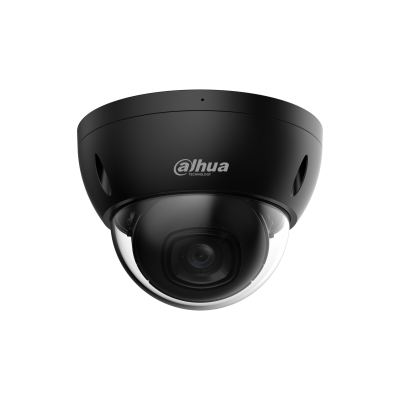 2MP IR Fixed-focal Dome WizSense Network Camera