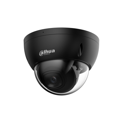 2MP IR Fixed-focal Dome WizSense Network Camera