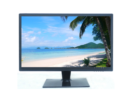 LM19-F110 18.5'' Monitor